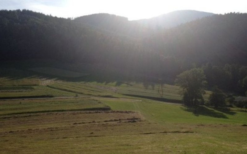 O bezpieczeństwie turystyki i rekreacji w górach