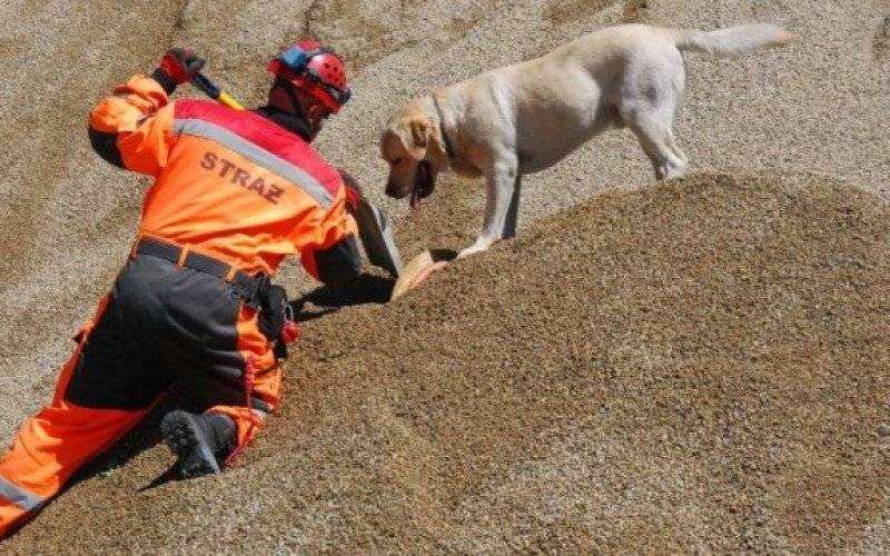 Poszukiwali osób zaginionych