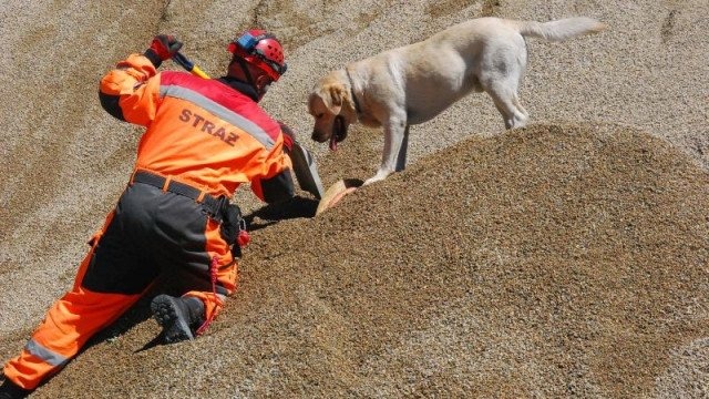 Poszukiwali osób zaginionych