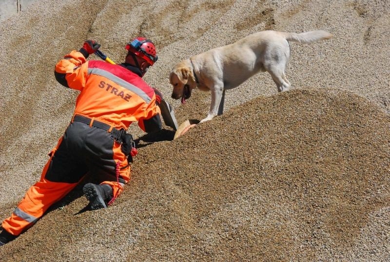 Poszukiwali osób zaginionych