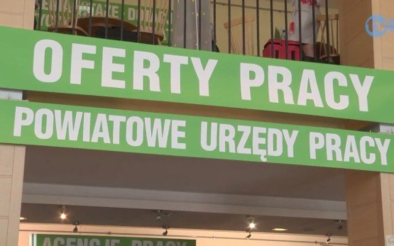 Powiatowe Targi Pracy [ZOBACZ FILM]