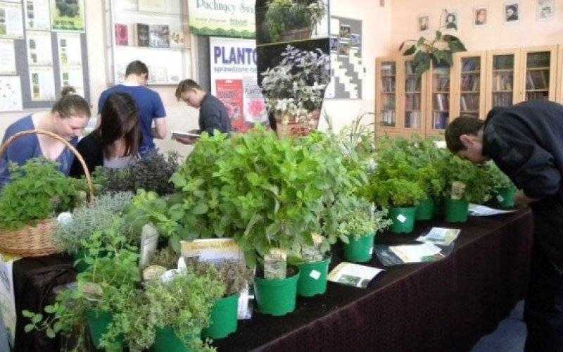 Pachnący Plantpol w Ekonomiku