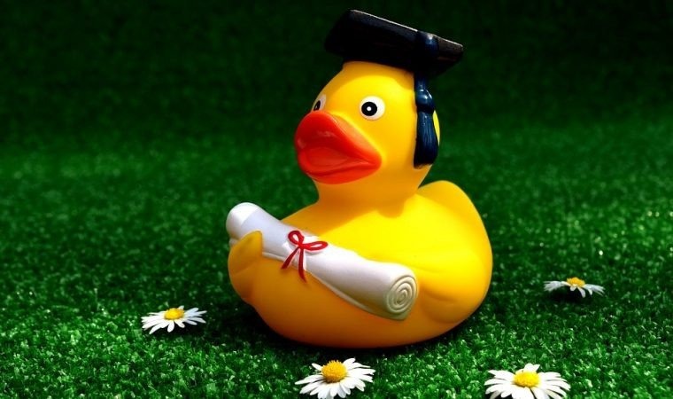 Wyniki matur lepsze od średniej krajowej (i wojewódzkiej)