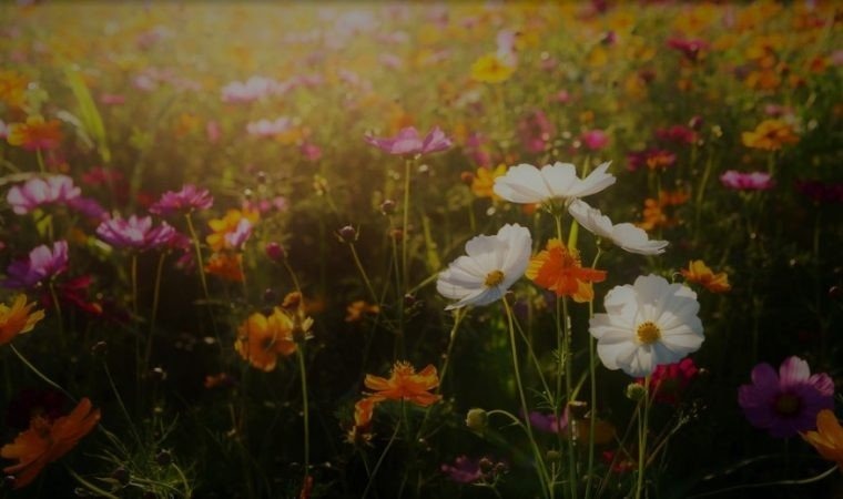 Spotkania nad Przemszą. Czas się zapisać