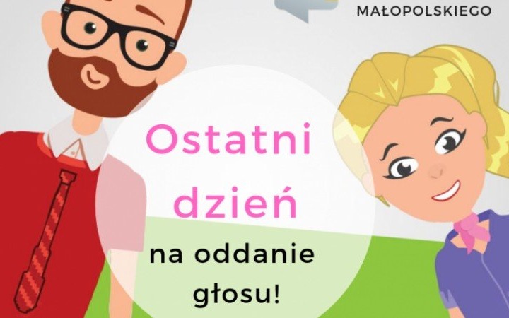 Głosowanie na finiszu. Do wydania jest 12 milionów