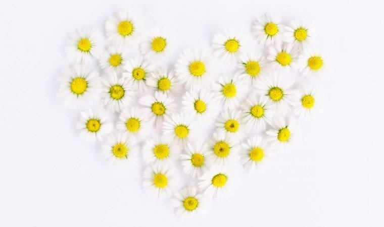 Liczne gesty solidarności ze Szpitalem Powiatowym. Razem możemy więcej!