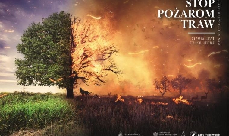 Stop wypalaniu traw. Strażacy apelują o zdrowy rozsądek