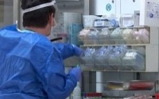 Kronika Powiatu Oświęcimskiego. Filmowy przegląd najważniejszych wydarzeń w maju