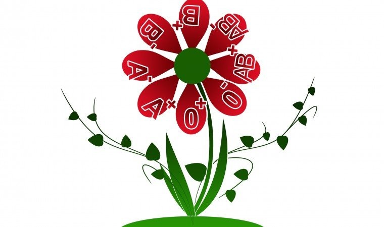 Krew na wagę złota. Apel do krwiodawców