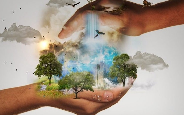 Zostań Naczelnikiem Wydziału Ochrony Środowiska