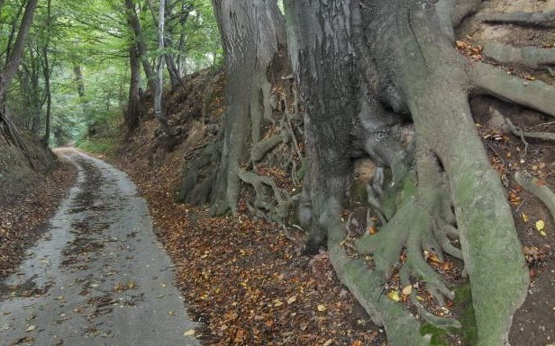 Nowe szlaki rowerowe w Dolinie Karpia