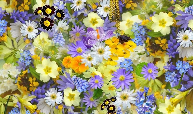 Życzenia dla Pań od władz Powiatu Oświęcimskiego z okazji Międzynarodowego Dnia Kobiet