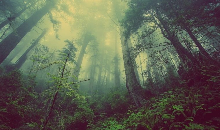 Mieszkańcy, do piór i klawiatur! Muzeum czeka na bajki i podania z Ziemi Oświęcimskiej