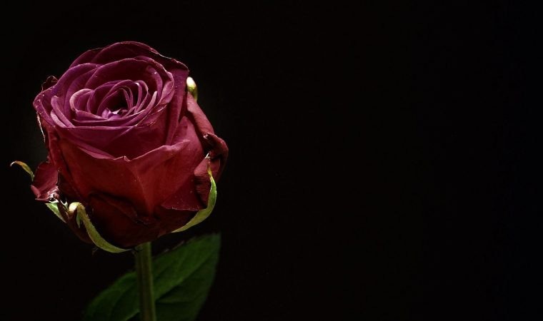 Dzień Pamięci Ofiar Zbrodni Katyńskiej. Hołd ofiarom sowieckiego barnarzyństwa