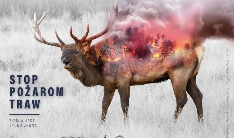Wiosenne wypalanie traw. Szkodliwy zwyczaj, który trudno wytępić