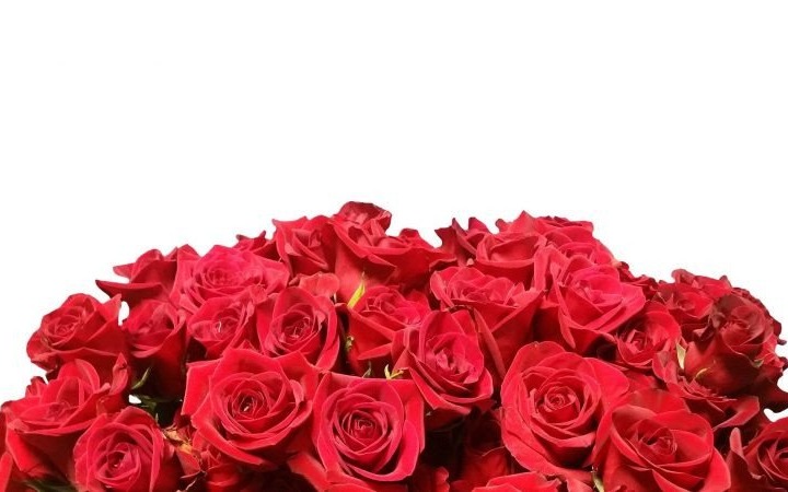 Życzenia władz Powiatu Oświęcimskiego dla strażaków