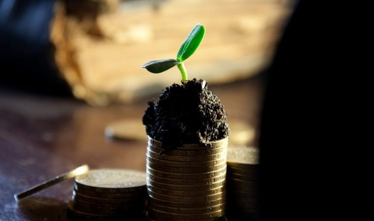 Budżet Obywatelski Województwa Małopolskiego. Ruszyło głosowanie