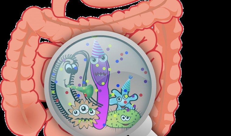 Kolonoskopia: 20 minut, które ratuje życie. Bez kolejki, skierowania i w znieczuleniu