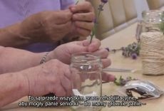 Dotacje Powiatu dla organizacji pomagających seniorom