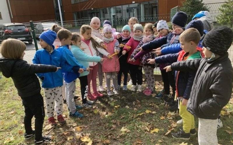 Ponad pół tysiąca drzew na ratunek klimatowi. Efekty akcji w naszym powiecie