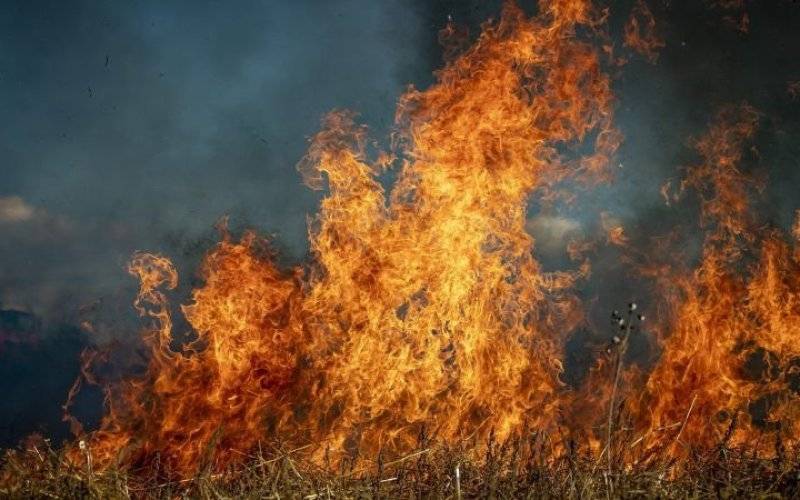 W zeszłym roku strażacy z naszego powiatu nie narzekali na brak pracy