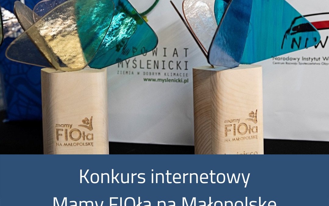 „Mamy FIO-ła na Małopolskę”. Zagłosuj na najciekawszą inicjatywę