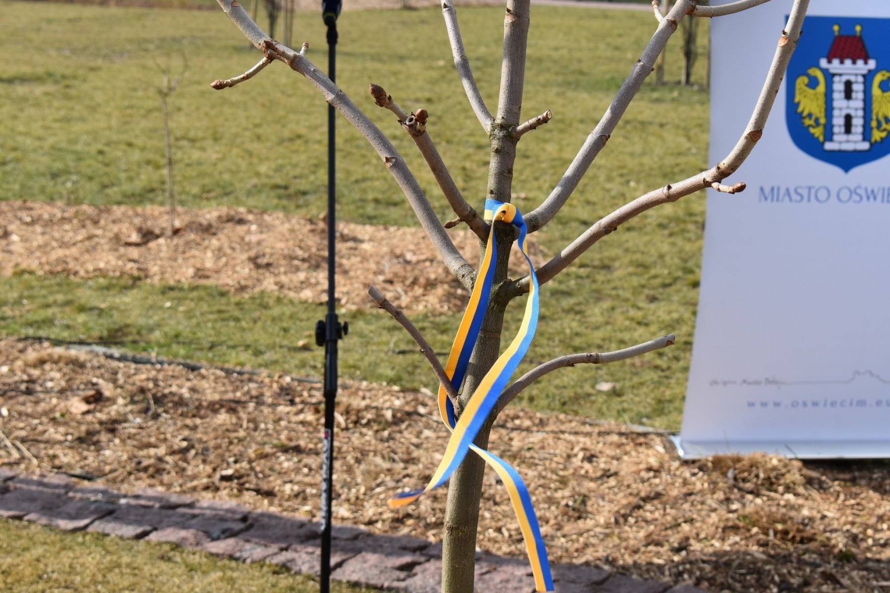 Dziękujemy wam za pomoc, bracia i siostry Polacy