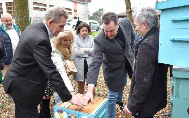 Pszczoły byłego starosty zadomowiły się w ekologicznej pasiece w Harmężach