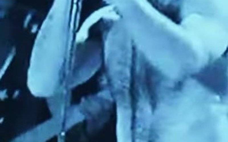 Barwne życie „Dzikiego” (film)