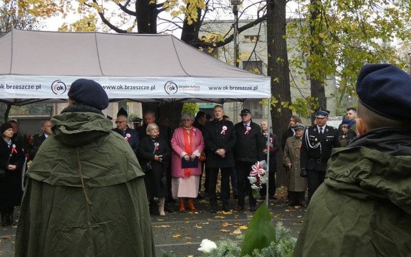 Podniosłe i radosne uroczystości niepodległościowe