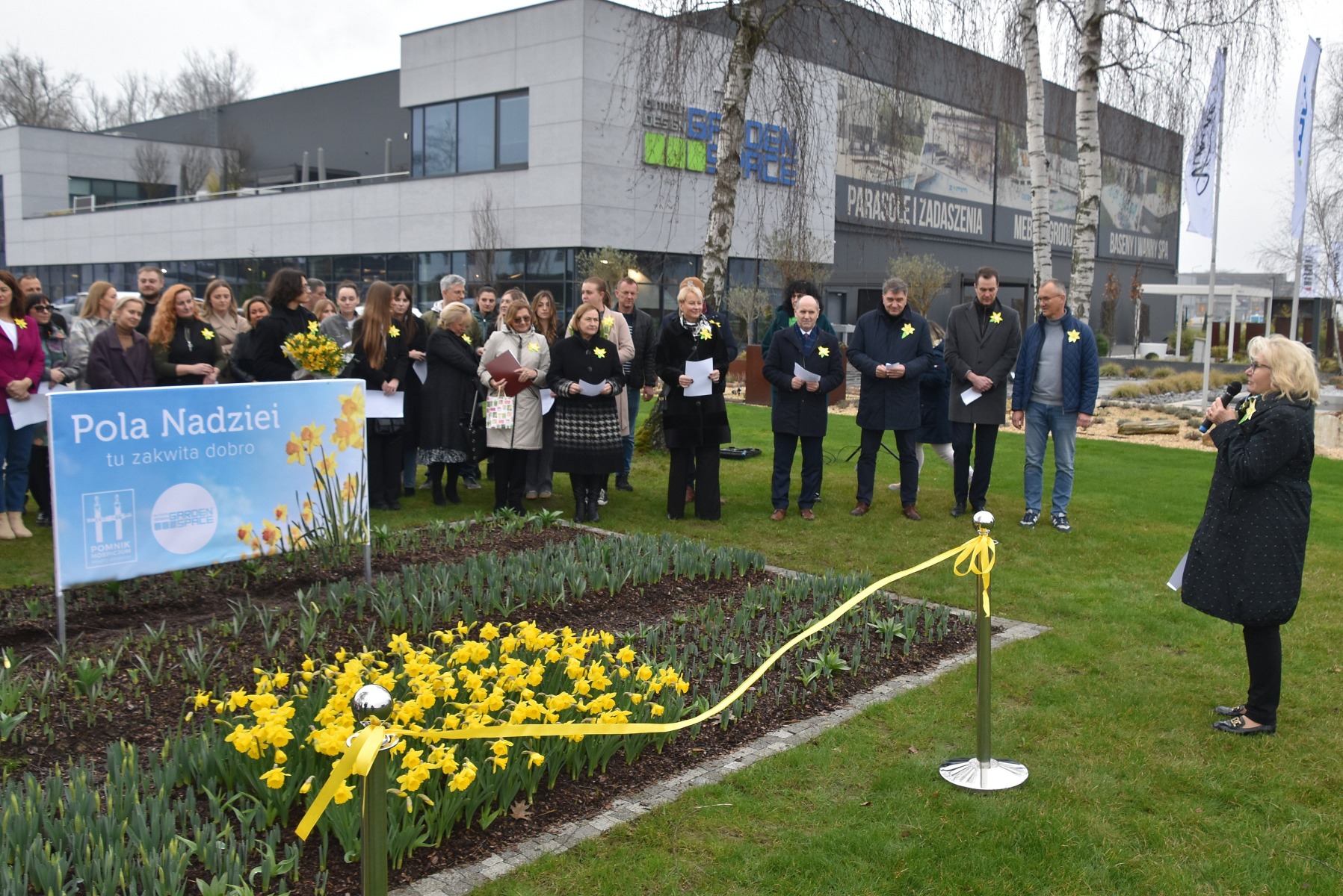 Żonkile dla darczyńców hospicjum