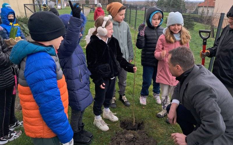 Kolejne sadzonki drzew i krzewów wyrosną przy szkołach!