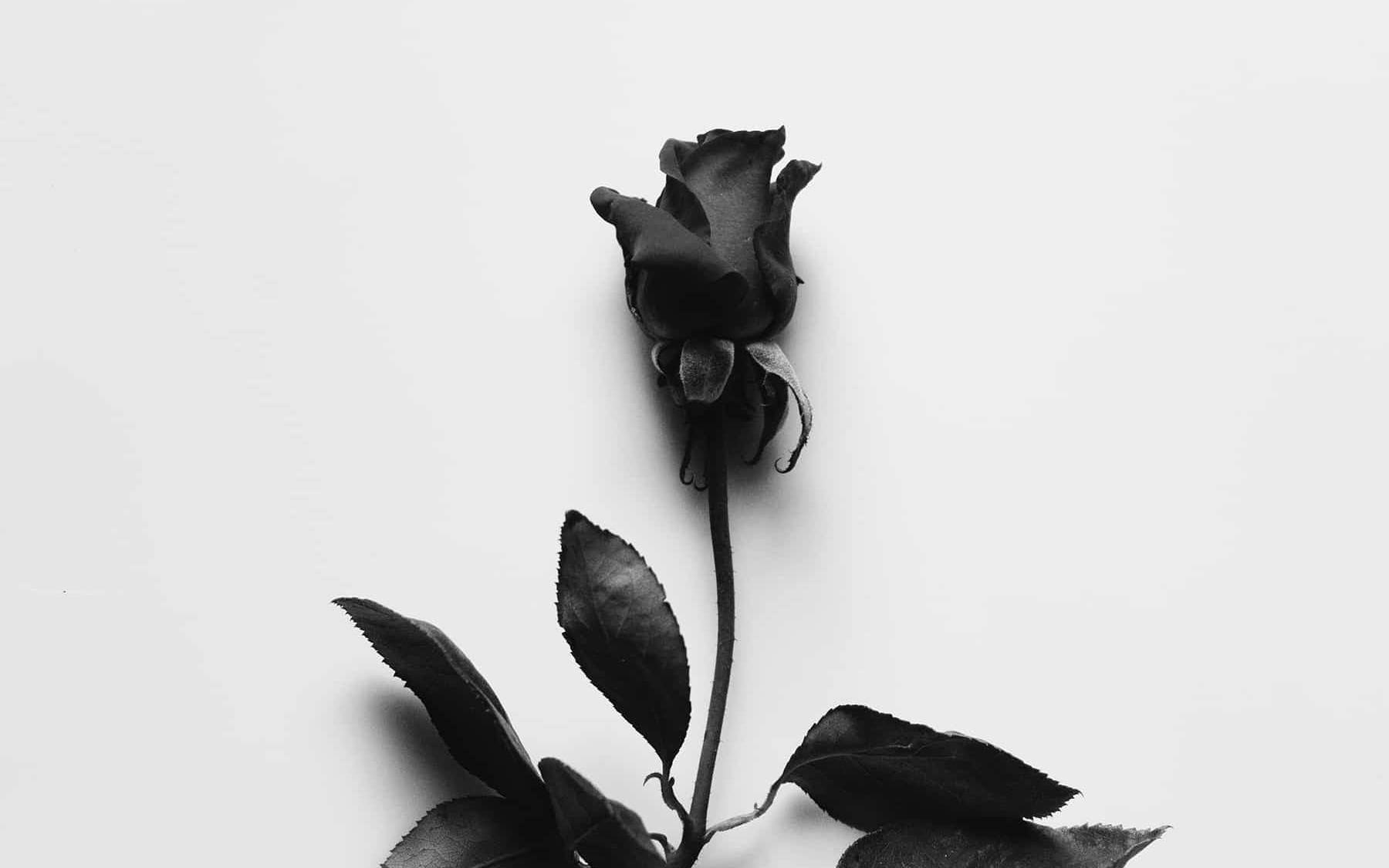 Słowa otuchy i wsparcia