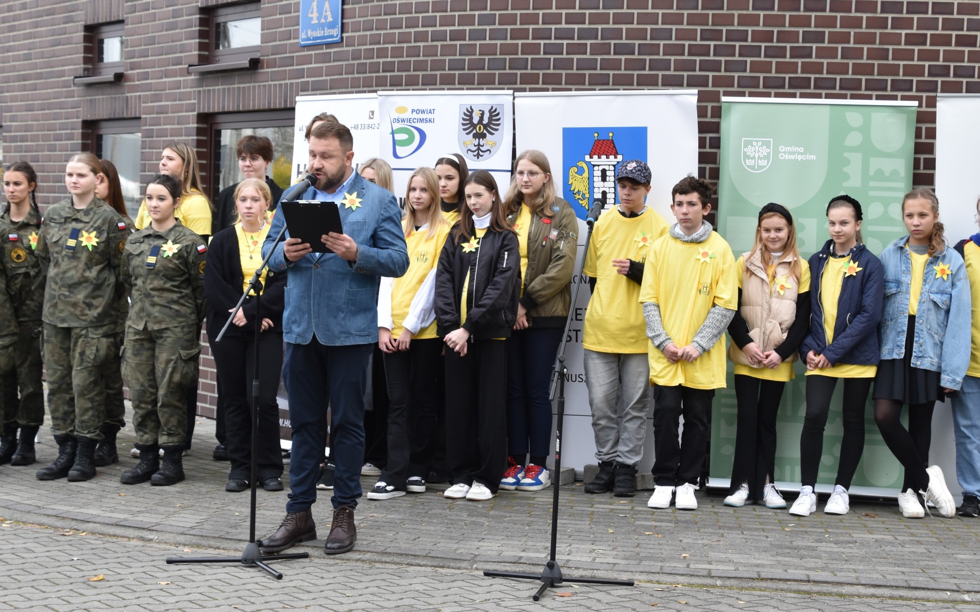 Żółte „Pola Nadziei” zakwitną na wiosnę