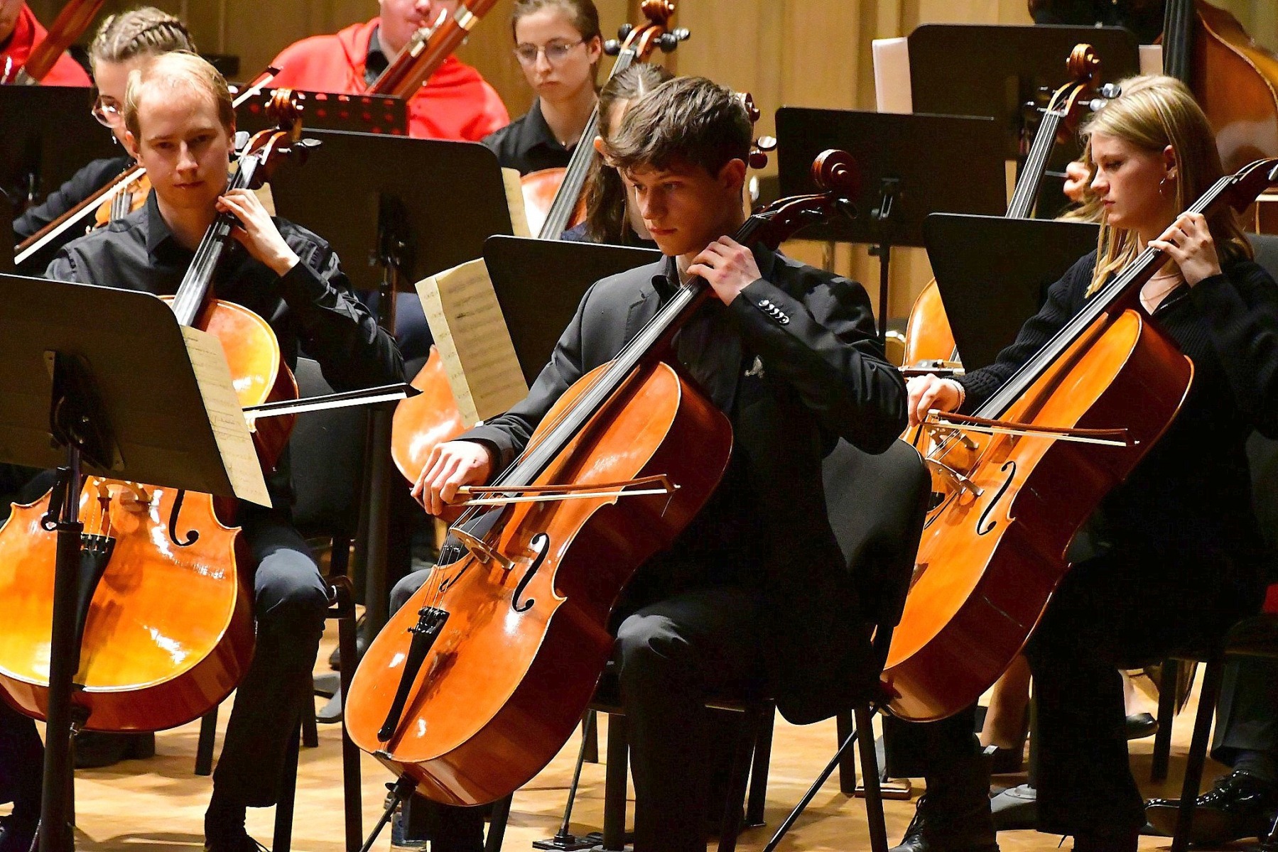 Muzyka to uniwersalny język, który przekracza granice, różnice i podziały