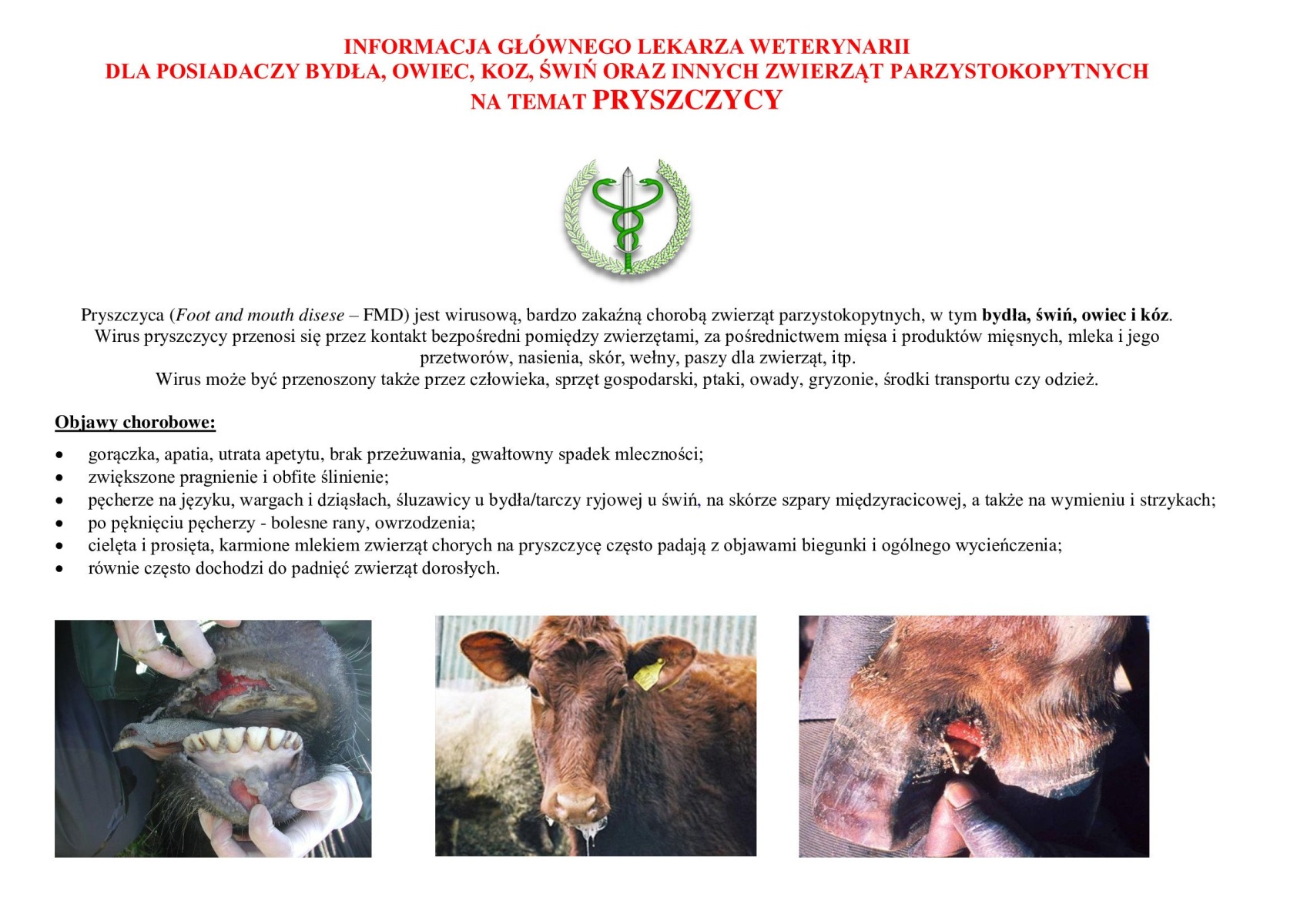 Apel wojewody małopolskiego w związku z zagrożeniem pryszczycą