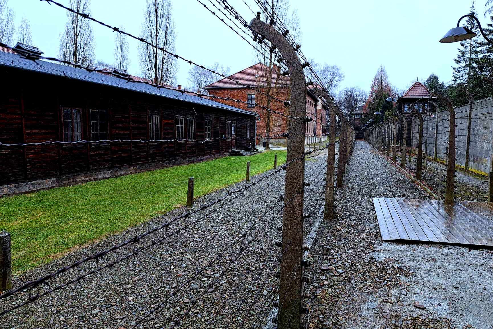 Oświadczenie starosty oświęcimskiego i dyrektora Muzeum Auschwitz w sprawie szokujących i oburzających słów europosła Brauna