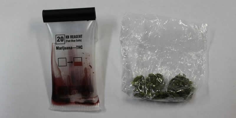 Oświęcim - na Osiedlu Zasole zatrzymali mężczyznę z marihuaną