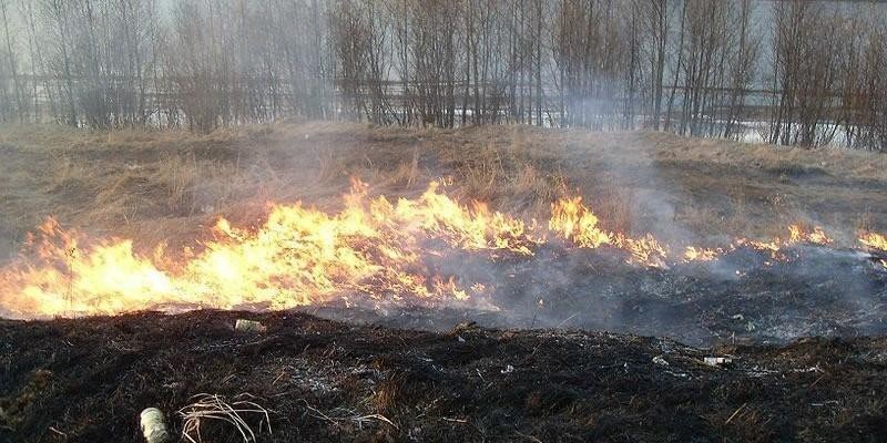 Powiat -7 dni i 36 pożarów. Strażacy apelują: nie wypalajmy traw!