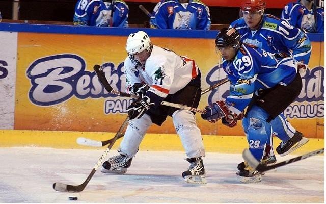 Młodzi oświęcimscy hokeiści w kadrach narodowych Polski