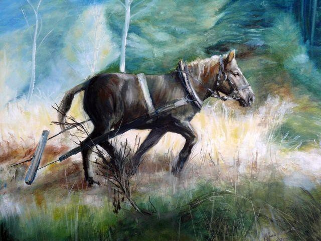 Zapraszamy na wystawę do biblioteki w Wadowicach