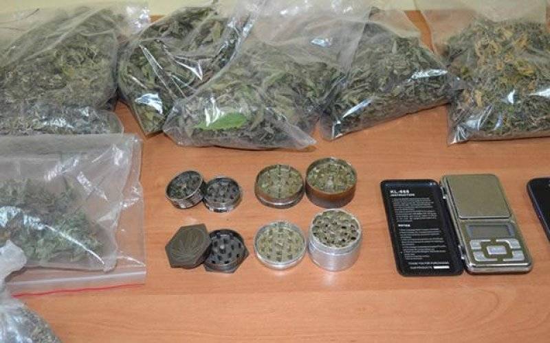 Oświęcim - tak lubił roślinki, że uprawiał konopie. Nielegalny proceder przerwany