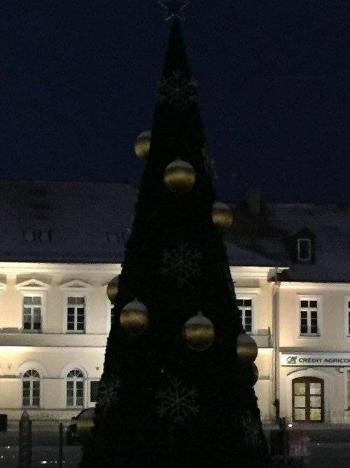 OŚWIĘCIM. Choinka za 32 tysiące złotych nie świeci!