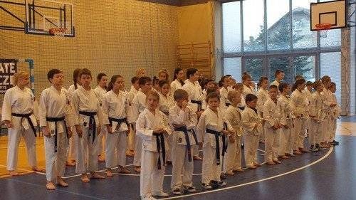 KARATE. Gospodarze z jedenastoma krążkami