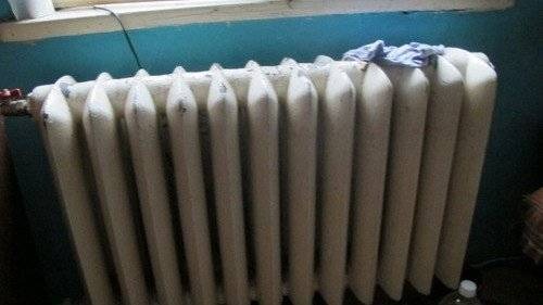 CHEŁMEK. Przywiązywał kota za szyję do grzejnika?