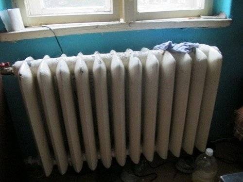 CHEŁMEK. Przywiązywał kota za szyję do grzejnika?