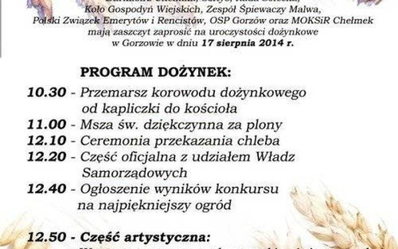 TRADYCJA. Uroczystości dożynkowe w Gorzowie