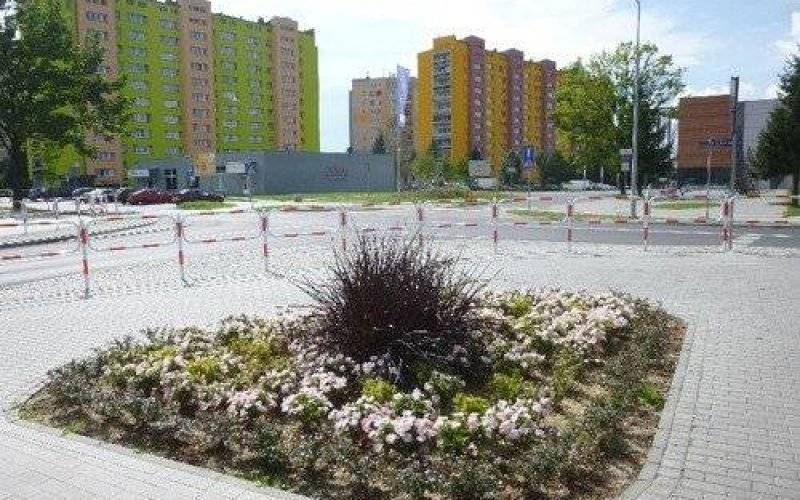 OŚWIĘCIM. Miasto w kwiatach. Ile kosztuje podlewanie?