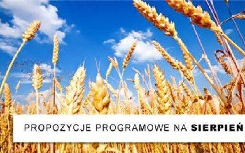 CHEŁMEK. Zajęcia wakacyjne, warsztaty, gry, konkursy