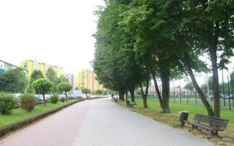 OŚWIĘCIM. Siedzieć na ławce może każdy